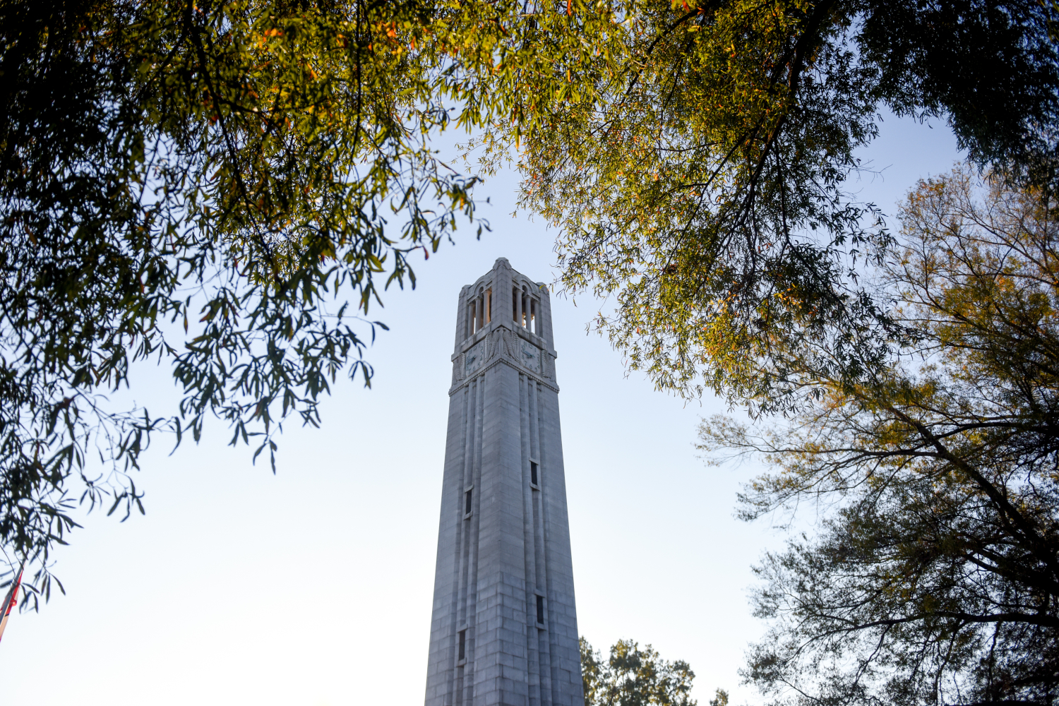 belltower surrounded by leaves