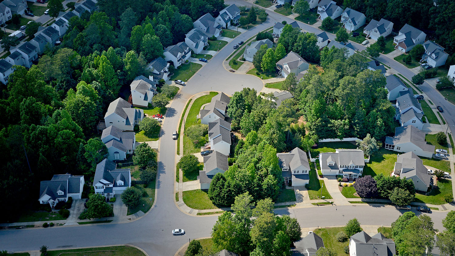aerial shot of houses in Raleigh