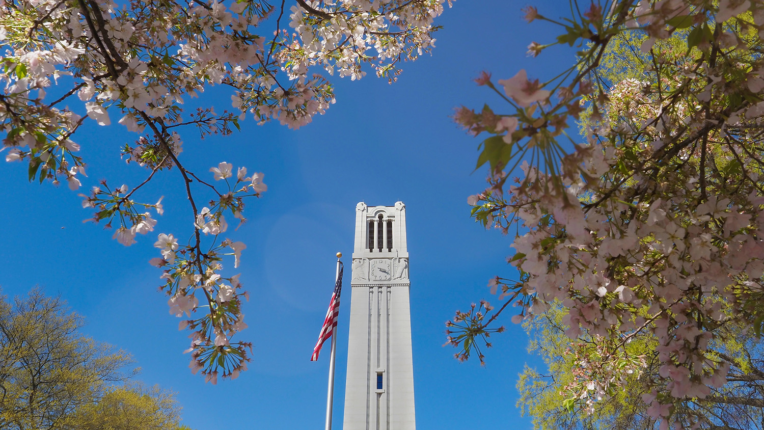 belltower surrounded by blooming flowers