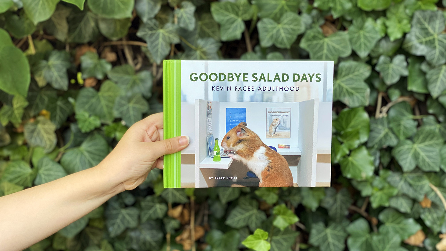 cover of "Goodbye Salad Days"