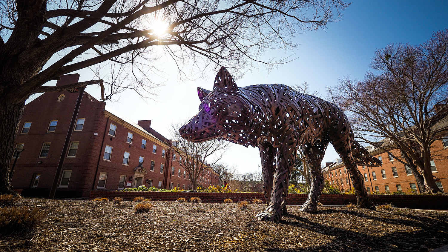 copper wolf statue